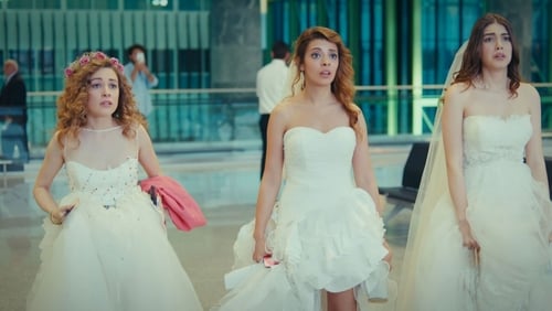 Kaçak Gelinler 1. Sezon 25. Bölüm